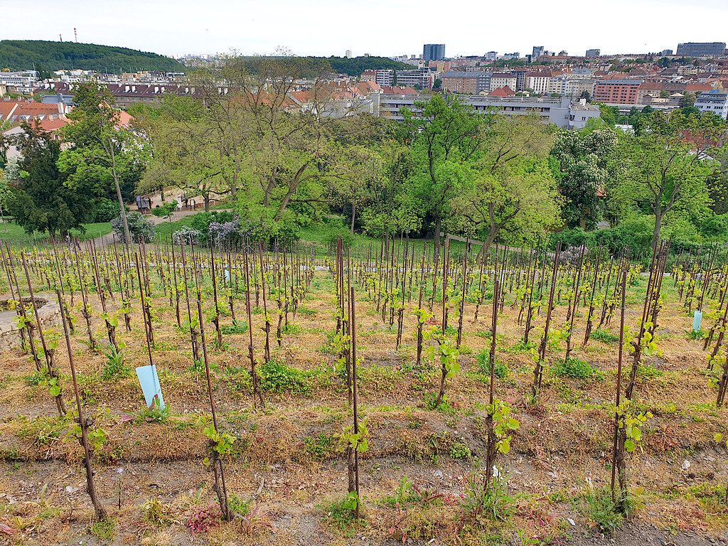 Bursa Park ve Bahçeler İçin Estetik Ahşap Kamelya Modelleri ve Fiyatları