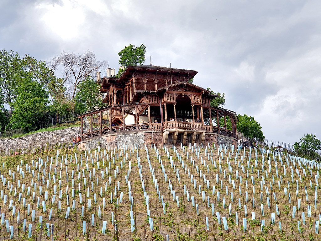Bursa Parkları İçin Hava Şartlarına Dayanıklı Ahşap Kamelya Modelleri