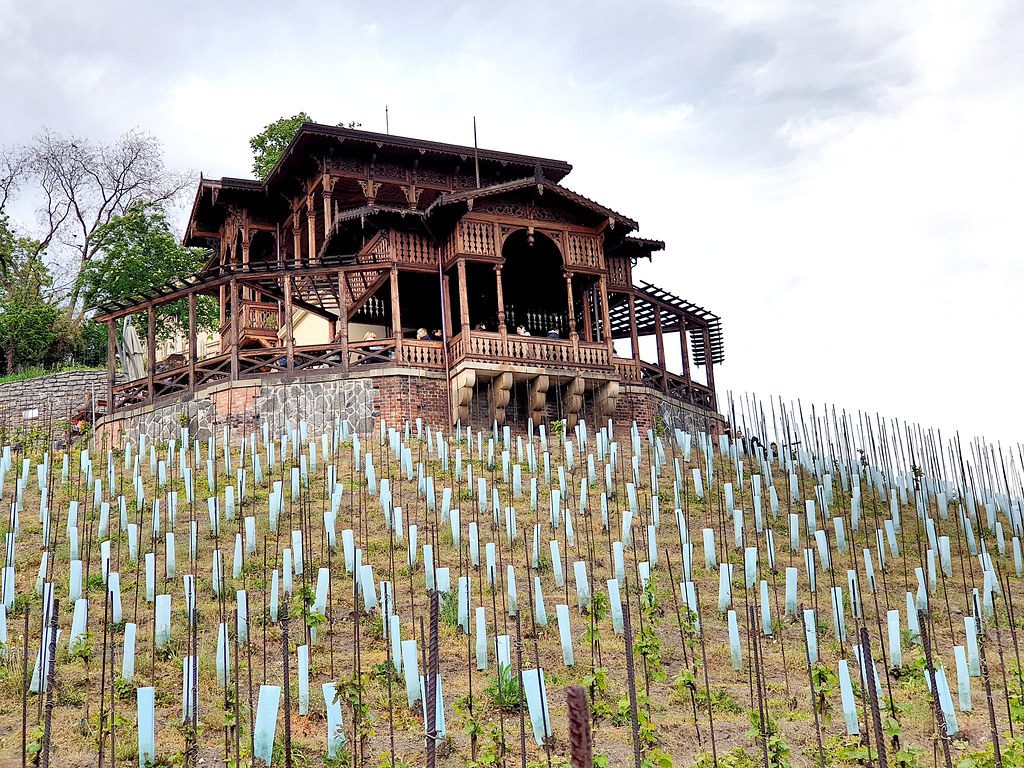 Bursa Parklarında Doğal Ahşap Görünümlü Kamelya Modelleri ve Avantajları