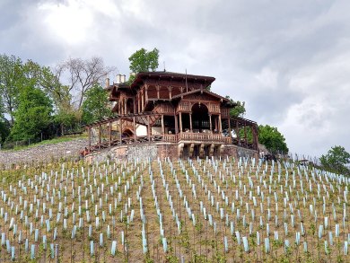 Bursa Parkları İçin Hava Şartlarına Dayanıklı Ahşap Kamelya Modelleri