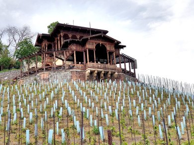 Bursa Parklarında Doğal Ahşap Görünümlü Kamelya Modelleri ve Avantajları