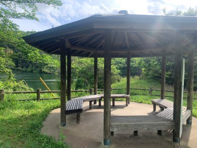 Bursa Park ve Bahçeler İçin Estetik Ahşap Kamelya Modelleri ve Montaj Hizmetleri